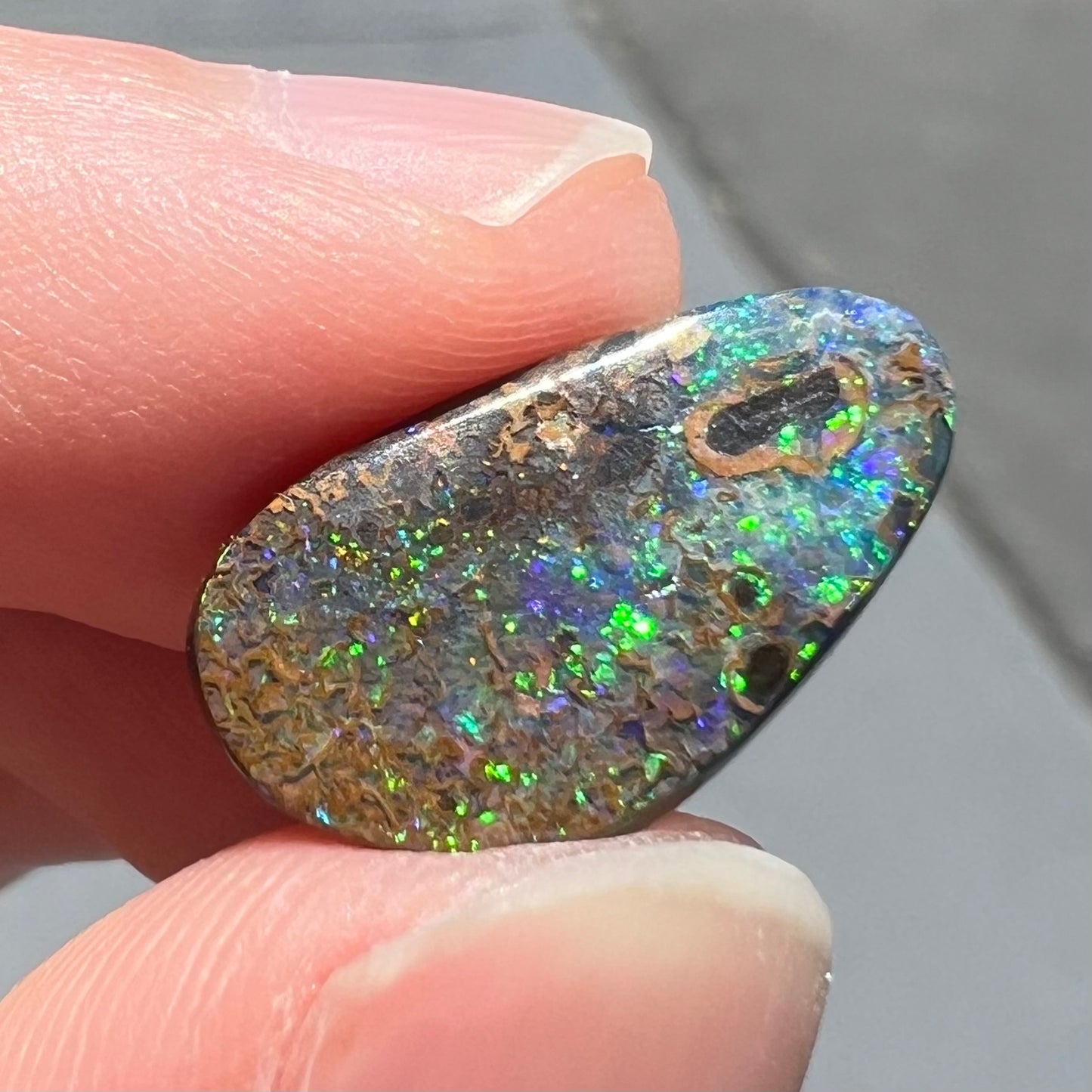 A loose boulder opal stone from Quilpie, Australia.  The opal shines colors of green and orange.