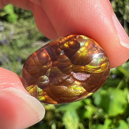 An oval cabochon cut Mexican fire agate stone.  The stone's predominant colors are green, yellow, orange, and blue.