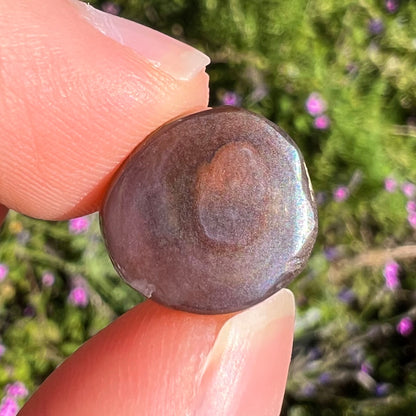 An iridescent green, yellow, and red Mexican fire agate stone.  The stone is an off-round cabochon.