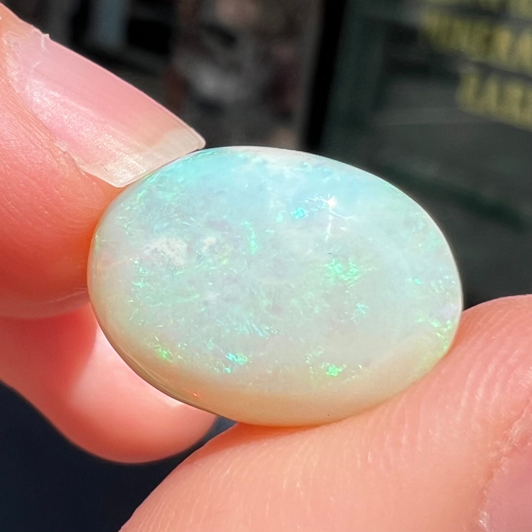 An oval cabochon cut white opal stone from Coober Pedy, Australia.  The opal has subtle colors of green and blue.