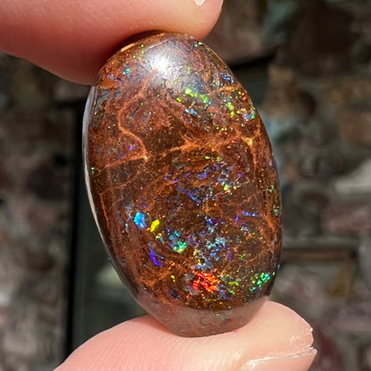 An oval cabochon cut boulder opal stone with green, blue, purple, and red play of color.