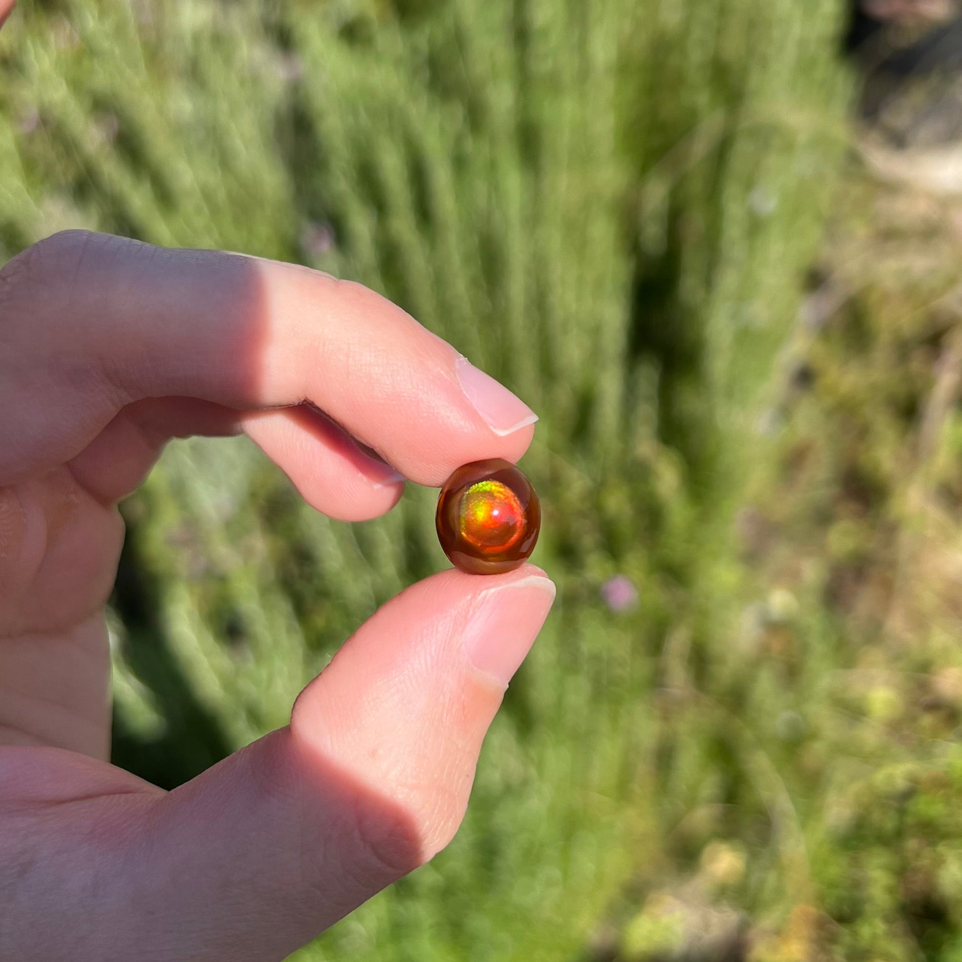 A loose, oval cabochon cut fire agate stone that has red and green colored iridescence.