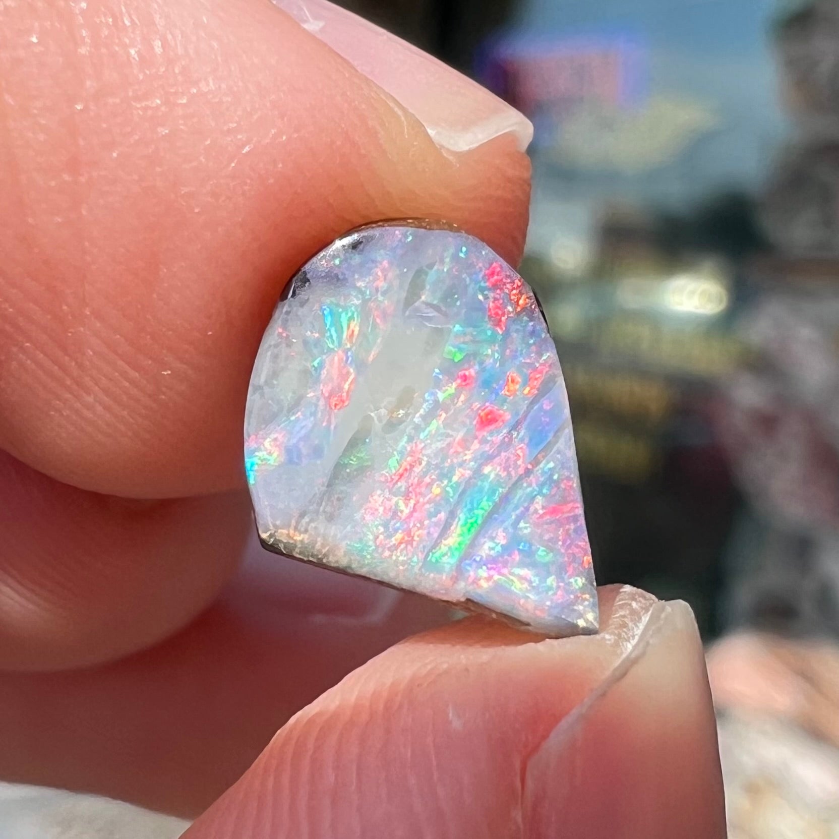 A freeform shaped boulder opal stone with red and blue color play.