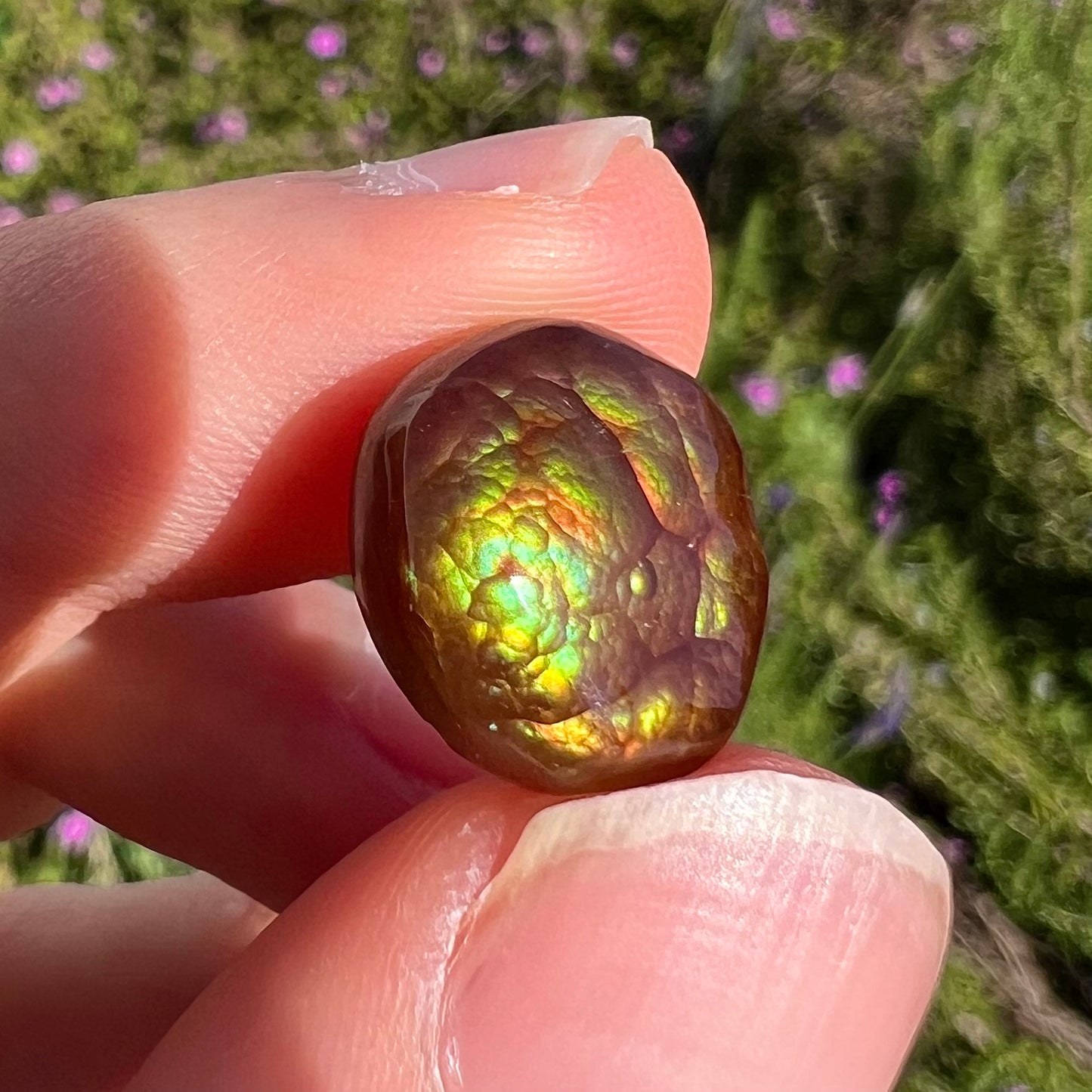 An iridescent green, yellow, and red Mexican fire agate stone.  The stone is an off-round cabochon.