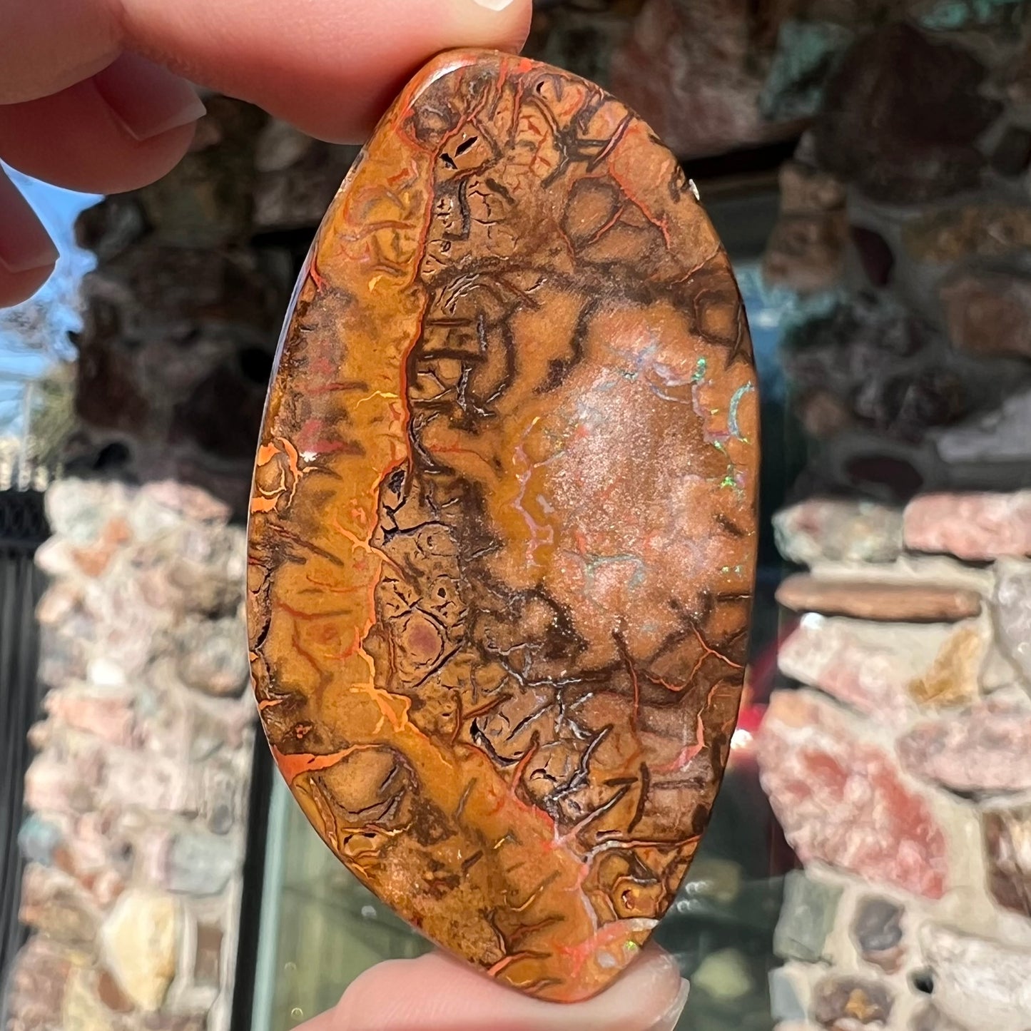 A polished boulder opal stone from Koroit, Australia.  The stone has been drilled with a bead hole.