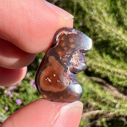 A polished, freeform shaped fire agate stone.  The stone is purple, green, and blue with red and yellow banding.