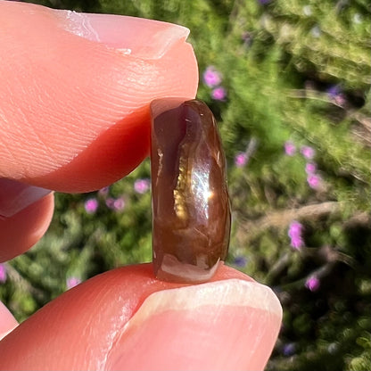 An iridescent green, yellow, and red Mexican fire agate stone.  The stone is an off-round cabochon.