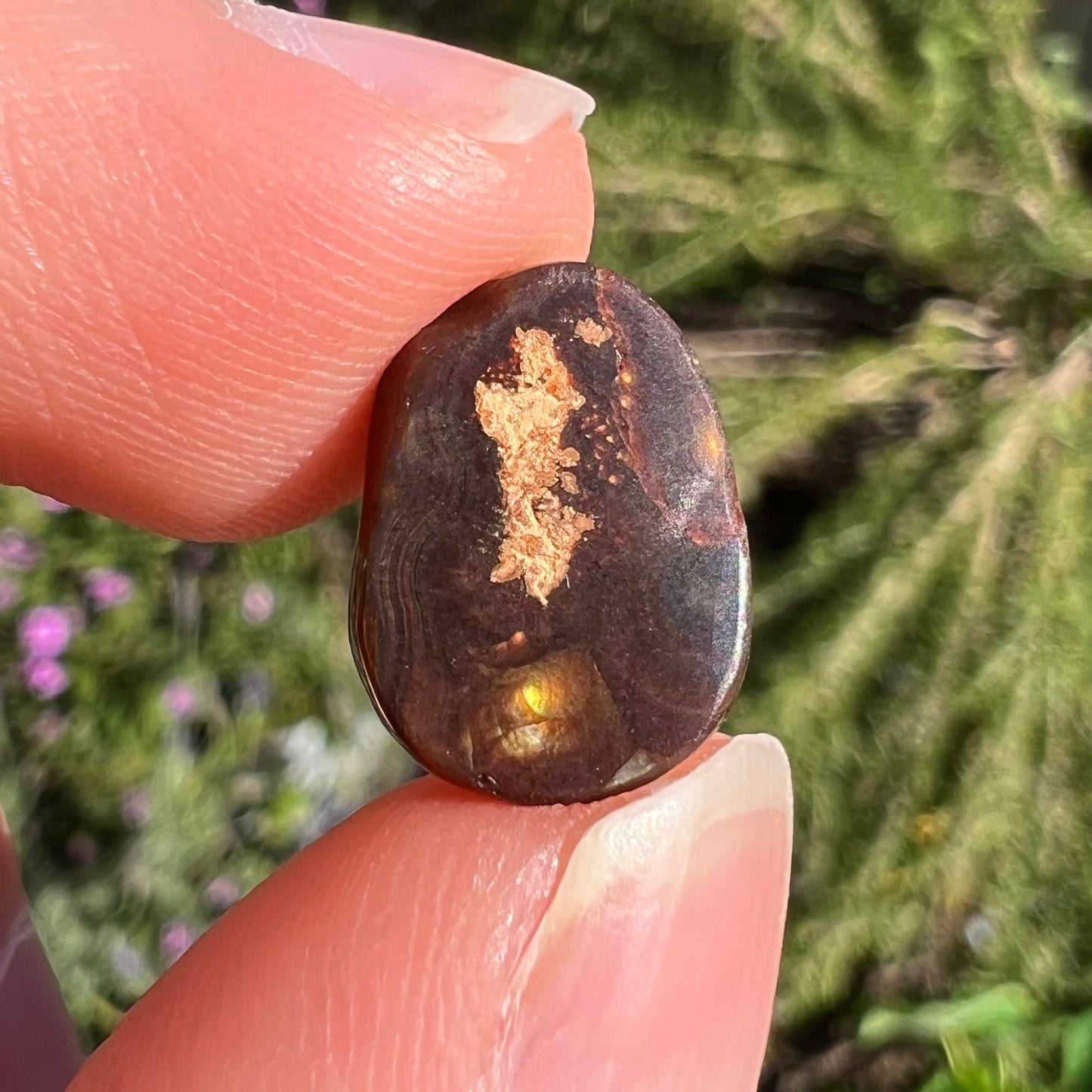 A loose, freefrom cabochon cut Mexican fire agate stone.  The stone has red, green, yellow, and purple banding.