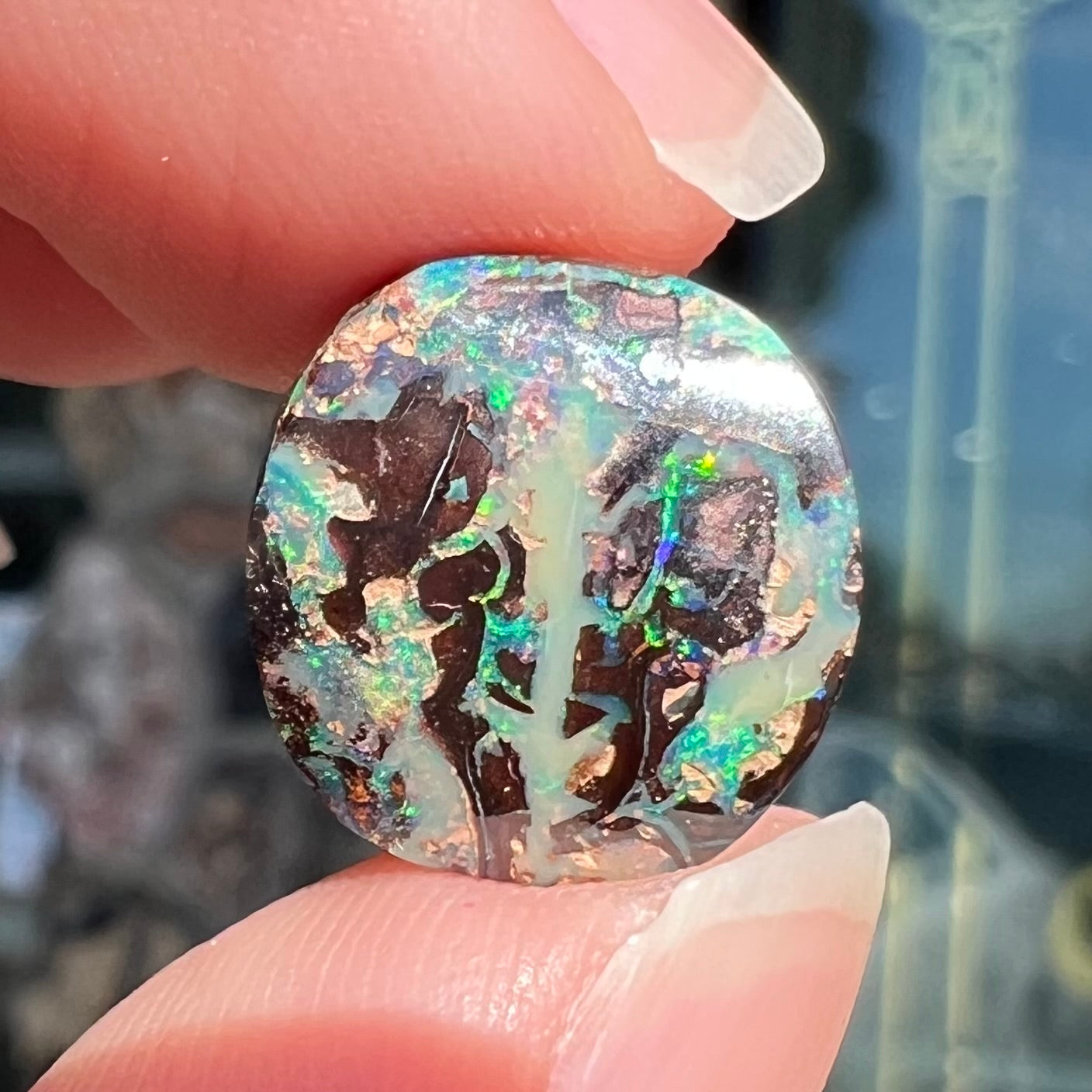 An off-round cabochon cut boulder opal stone from Koroit, Australia.  The opal has green, blue, and red colors.