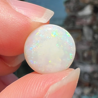 A loose, round cabochon cut white opal from Coober Pedy, Australia.  The opal has green fire.