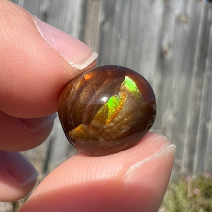 A loose, green, blue, and orange banded fire agate cabochon.