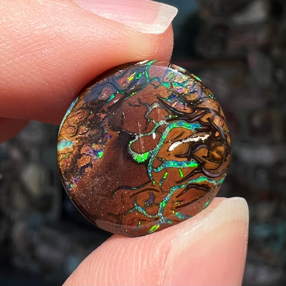 8.95ct Koroit Boulder Matrix Opal | #E127