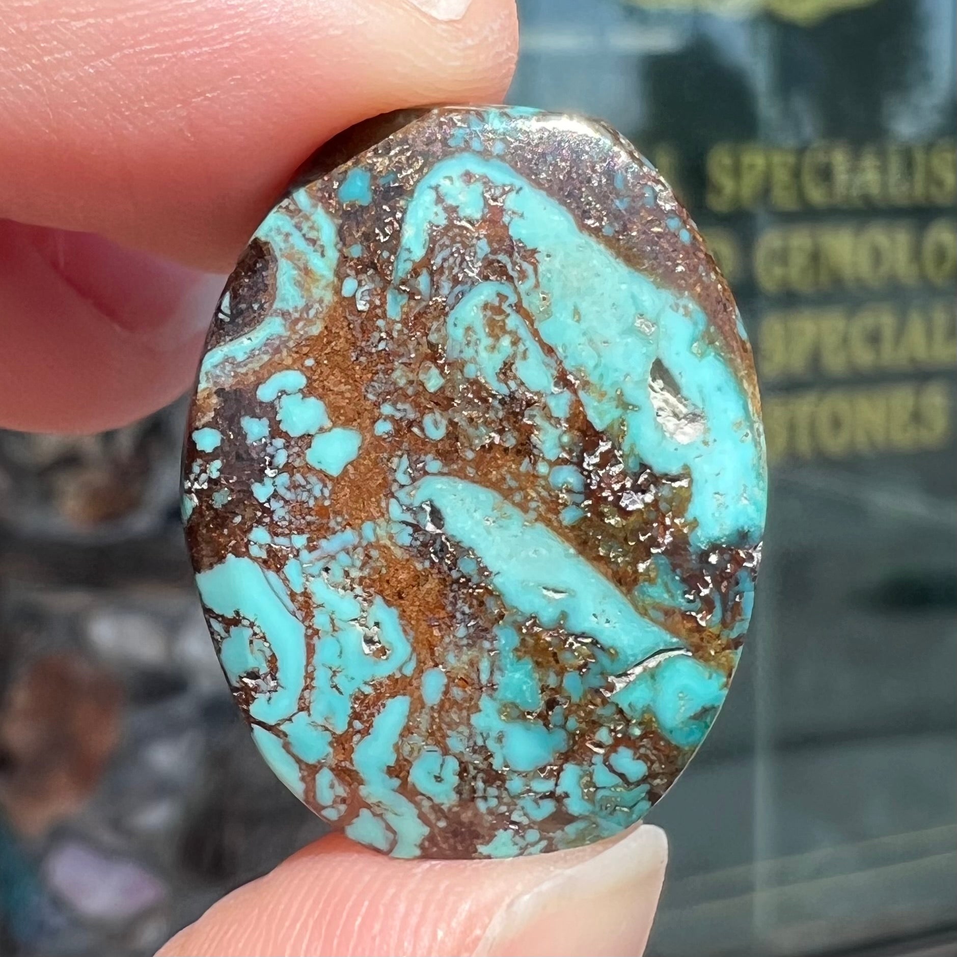 Royston Turquoise {RN2} Cabochon | Gemstone | newest Cab | Polished Stone