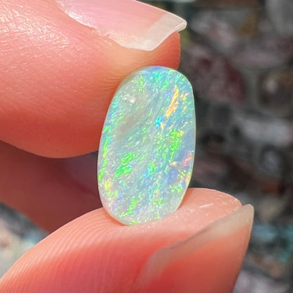 A loose, barrel shaped semi-black opal stone from Lightning Ridge, Australia.  The stone plays green colors.