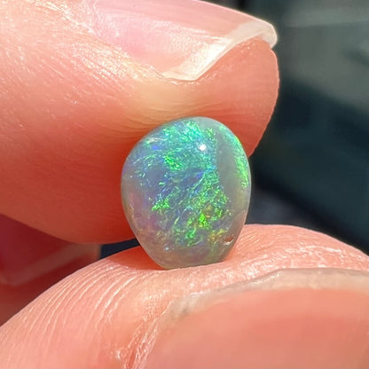 A loose, freeform shaped semi-black opal stone from Lightning Ridge, Australia.