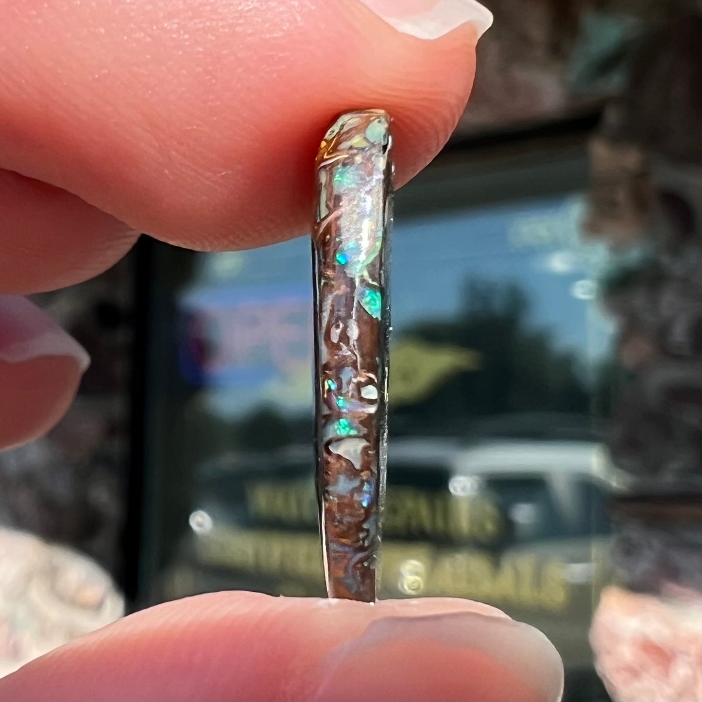 A loose, oval cabochon cut Koroit boulder opal stone.  The opal has green and blue veins.