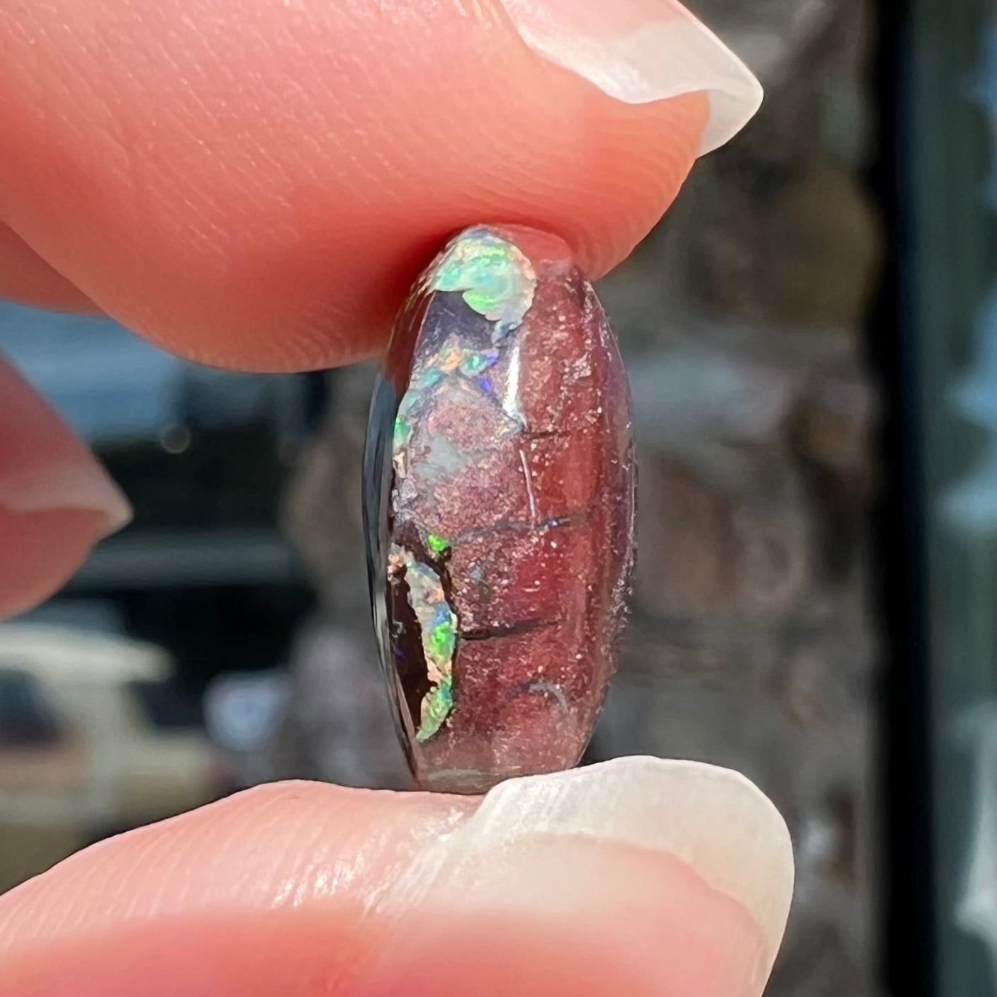 An off-round cabochon cut boulder opal stone from Koroit, Australia.  The opal has green, blue, and red colors.