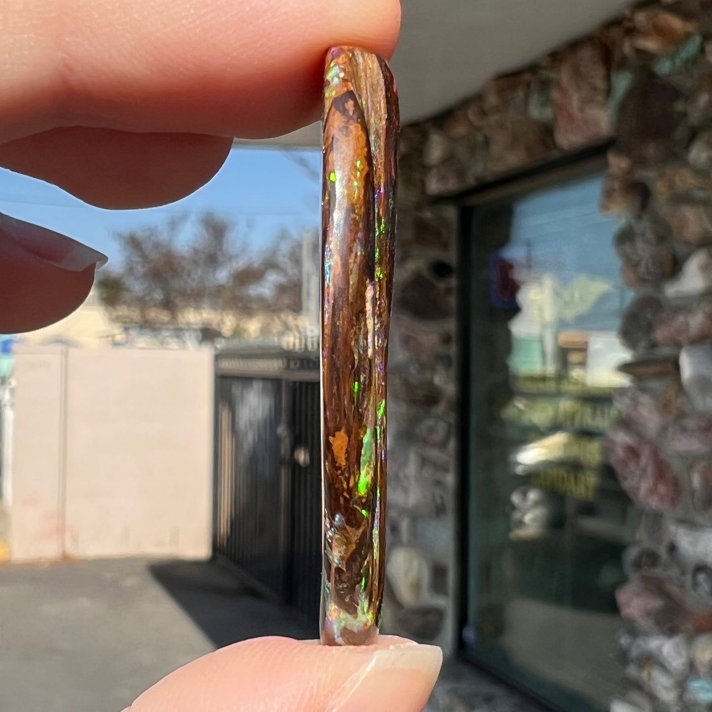 24.45ct Duck Creek Opalized Wood | #E206