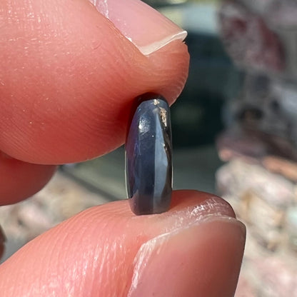 A loose black opal stone from Lightning Ridge, Australia.  The opal shines blue and green colors.