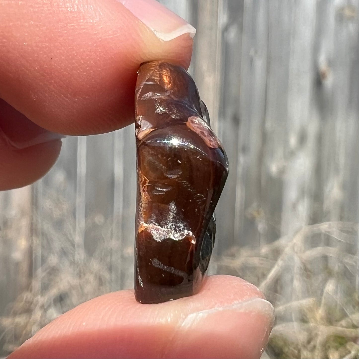 13.95ct Mexican Fire Agate, Bright Color