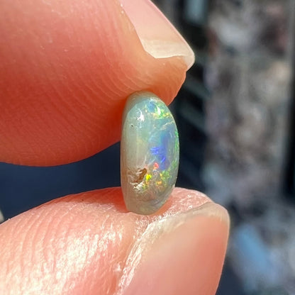 A loose, freeform shaped semi-black opal stone from Lightning Ridge, Australia.