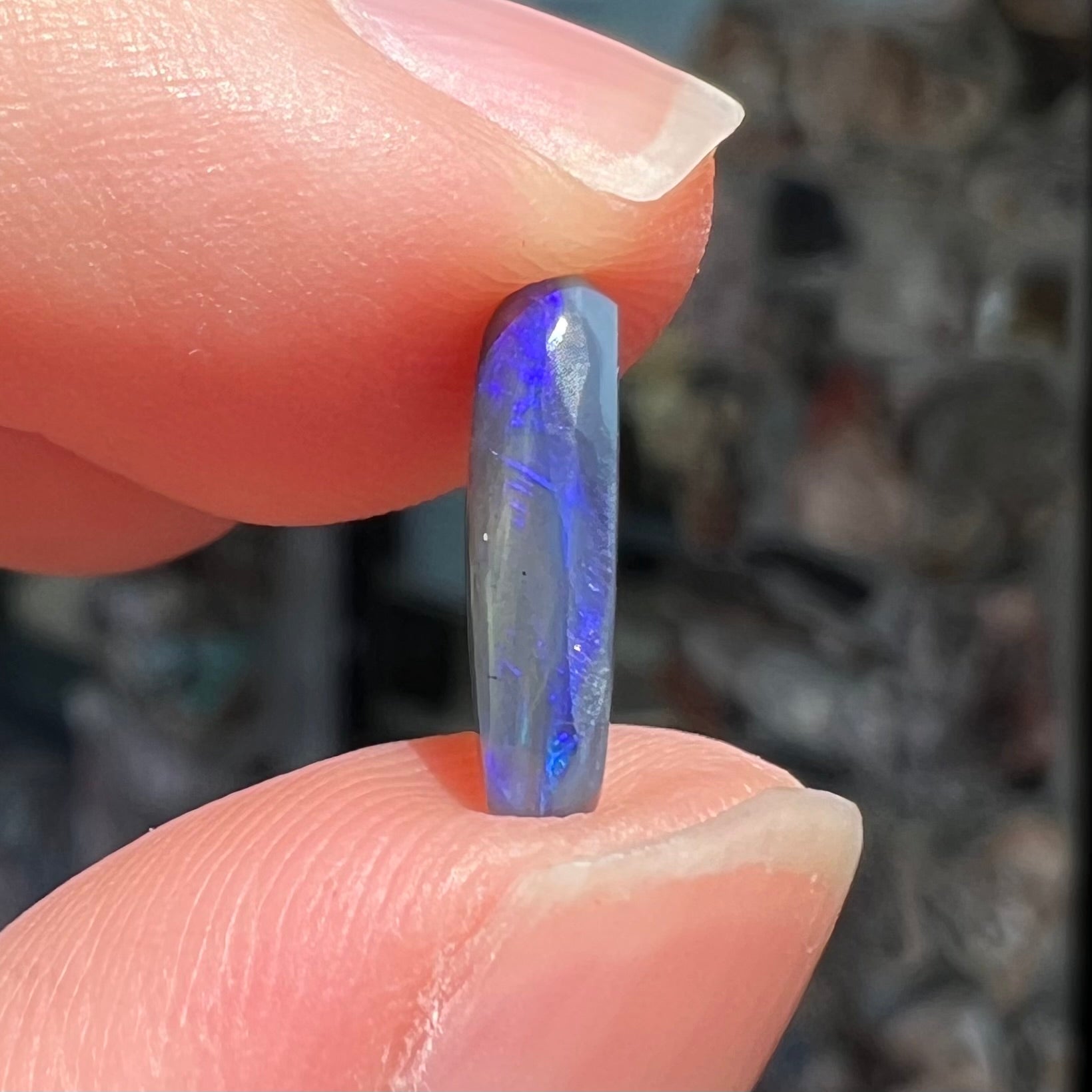 A loose, oval cabochon cut black opal stone that weighs 1.52 carats.  The opal plays blue colors.