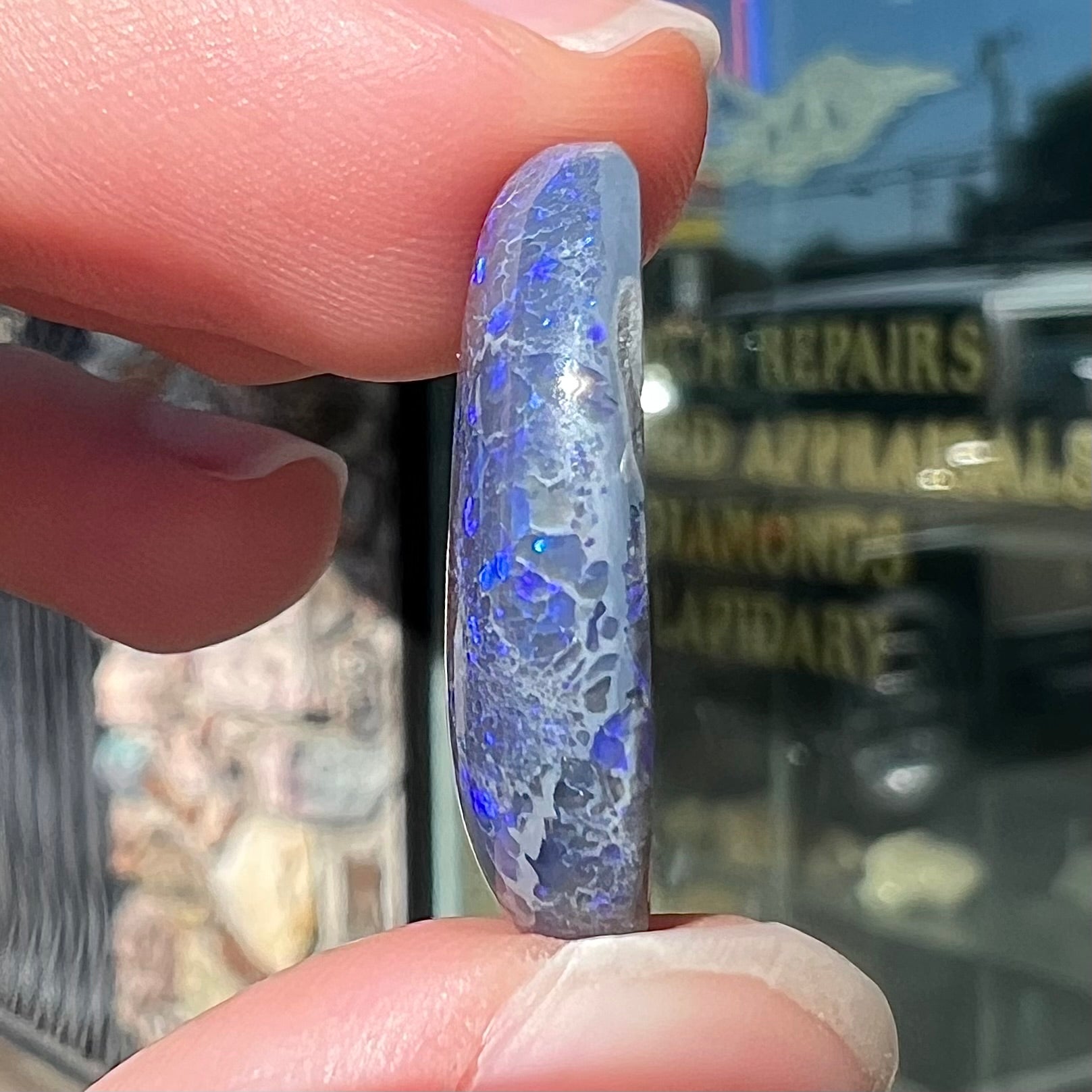 A loose, oval cabochon cut black opal from Lightning Ridge, Australia that weighs 13.09 carats.  The opal is blue.