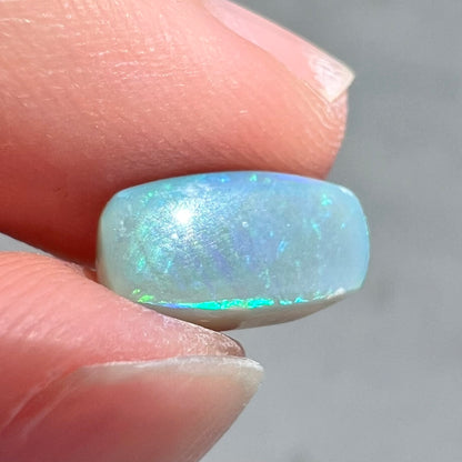 A loose semi-black opal from Lightning Ridge, Australia.  The opal flashes bright green and blue colors.