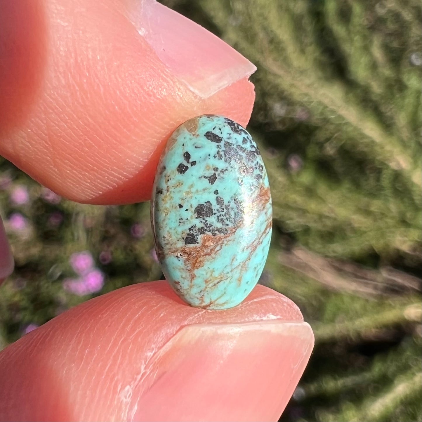 A loose, oval cabochon cut turquoise stone.  The stone is light blue with black spotted and brown streaked matrix.