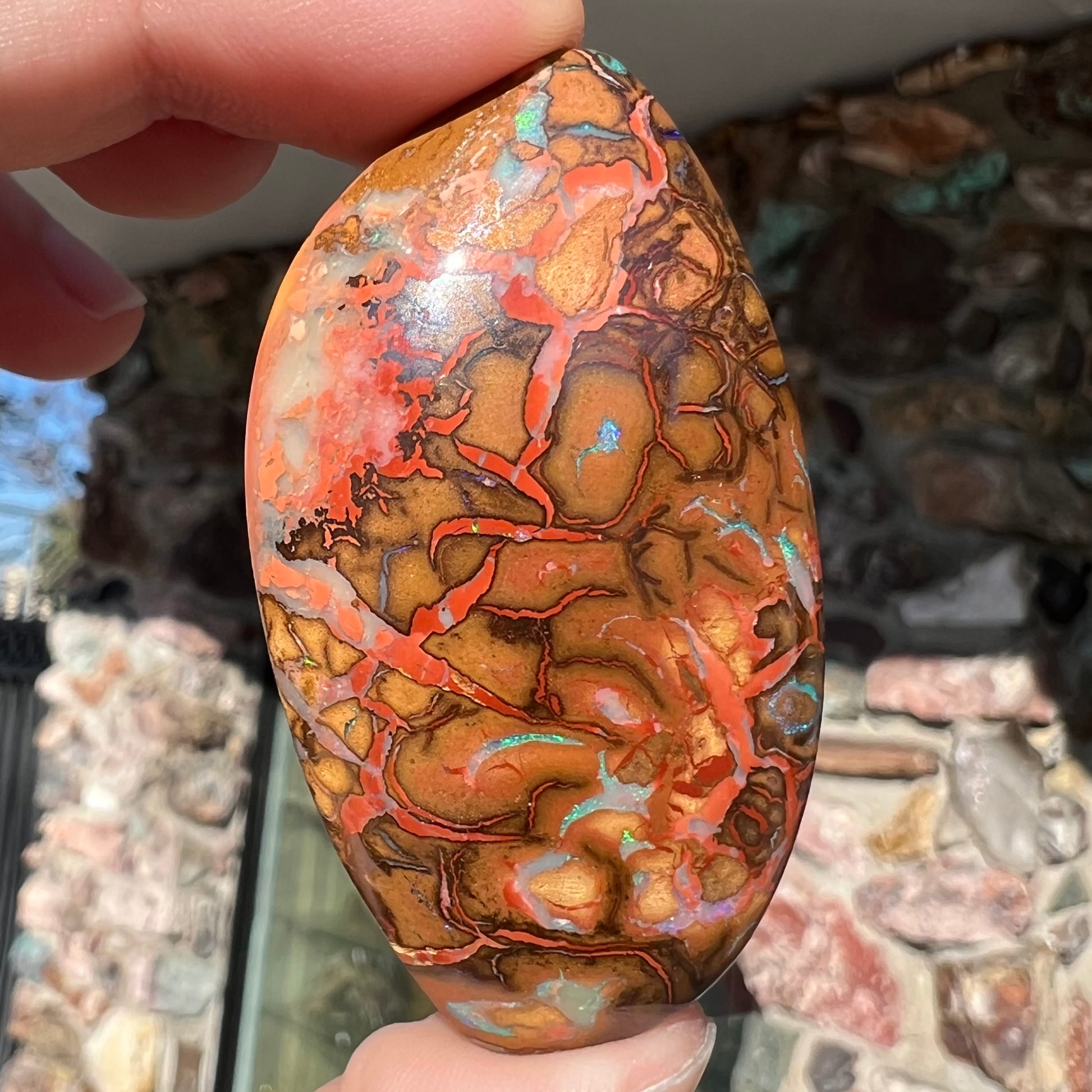 A polished boulder opal stone from Koroit, Australia.  The stone has been drilled with a bead hole.