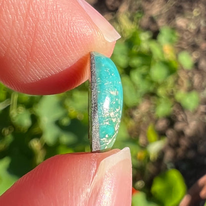 A loose, freeform cut Pilot Mountain turquoise cabochon.  The stone is greenish blue.