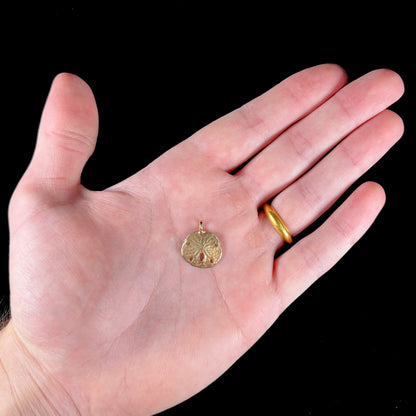 A 14 karat yellow gold sand dollar pendant.