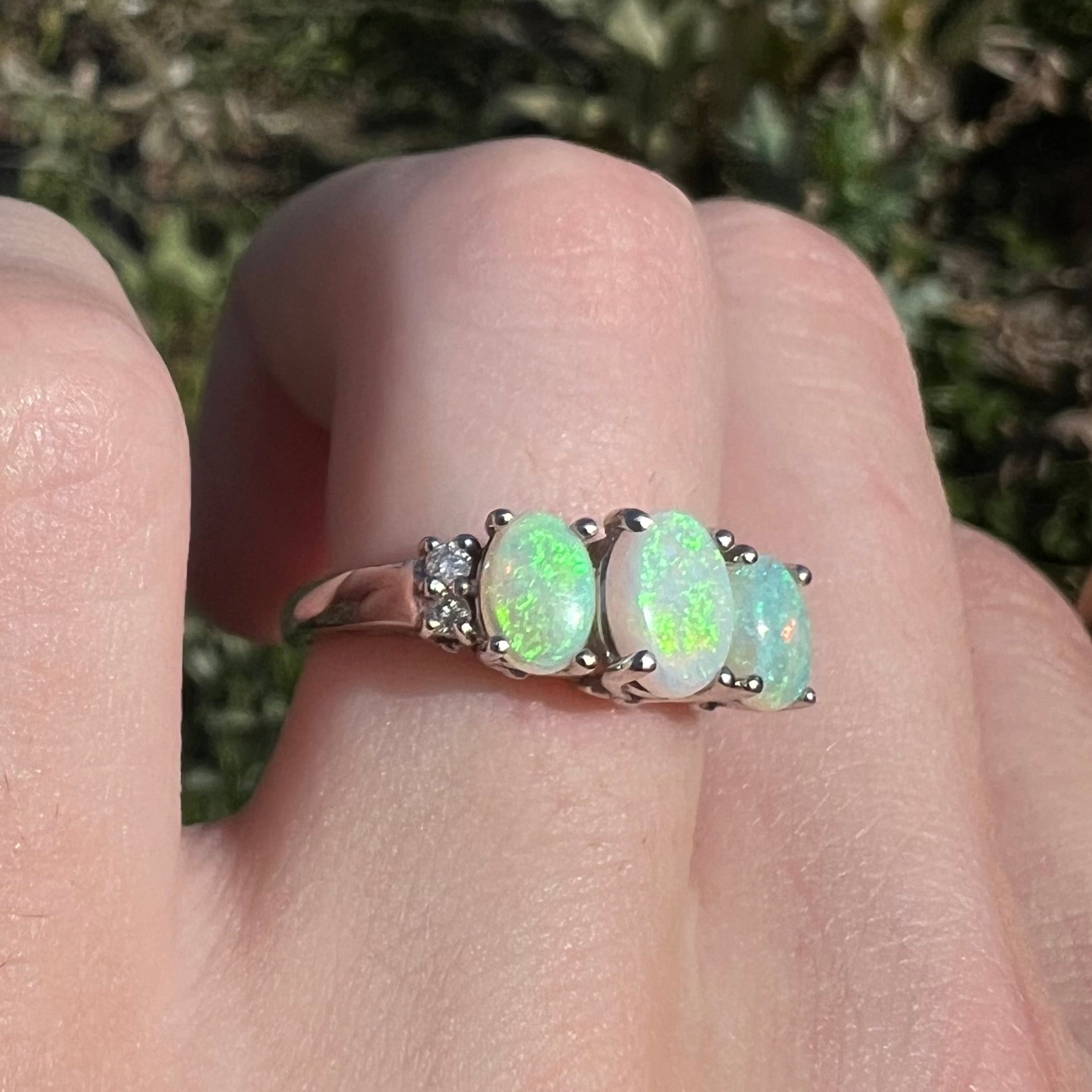 A ladies' white gold ring prong-set with three natural white opals and diamond accents.  The opals play a green color.