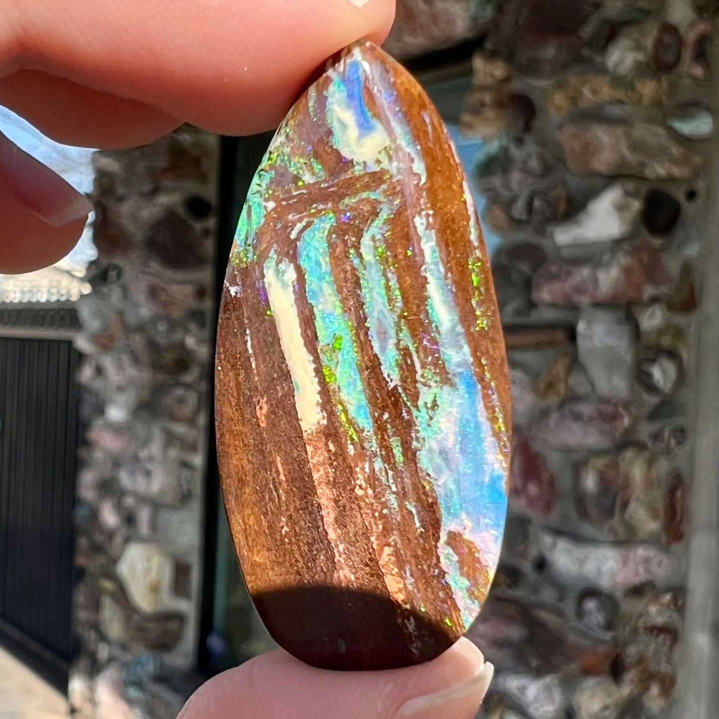 26.14ct Duck Creek Opalized Wood | #E189