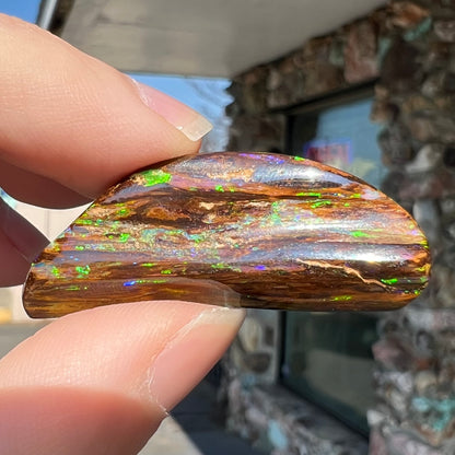 24.45ct Duck Creek Opalized Wood | #E206