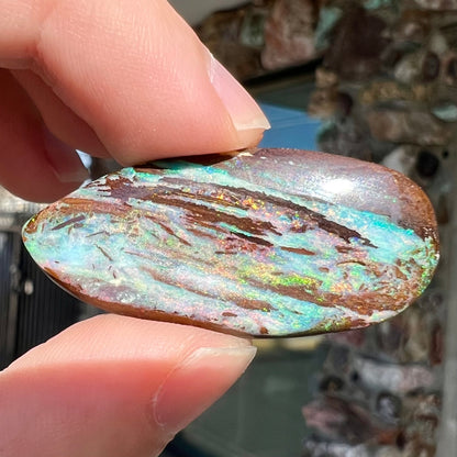 26.14ct Duck Creek Opalized Wood | #E189