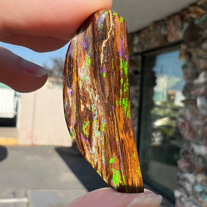 24.45ct Duck Creek Opalized Wood | #E206