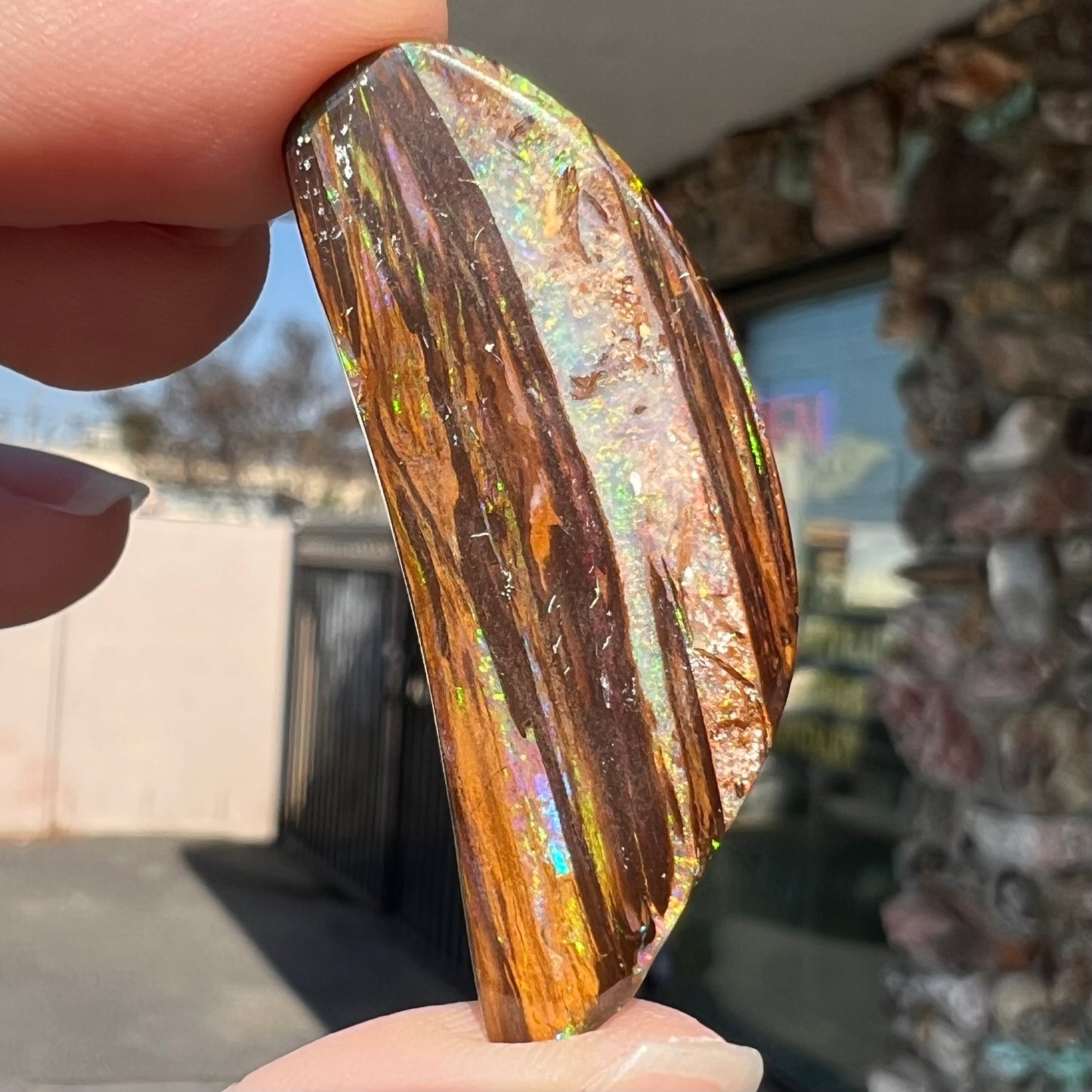 24.45ct Duck Creek Opalized Wood | #E206