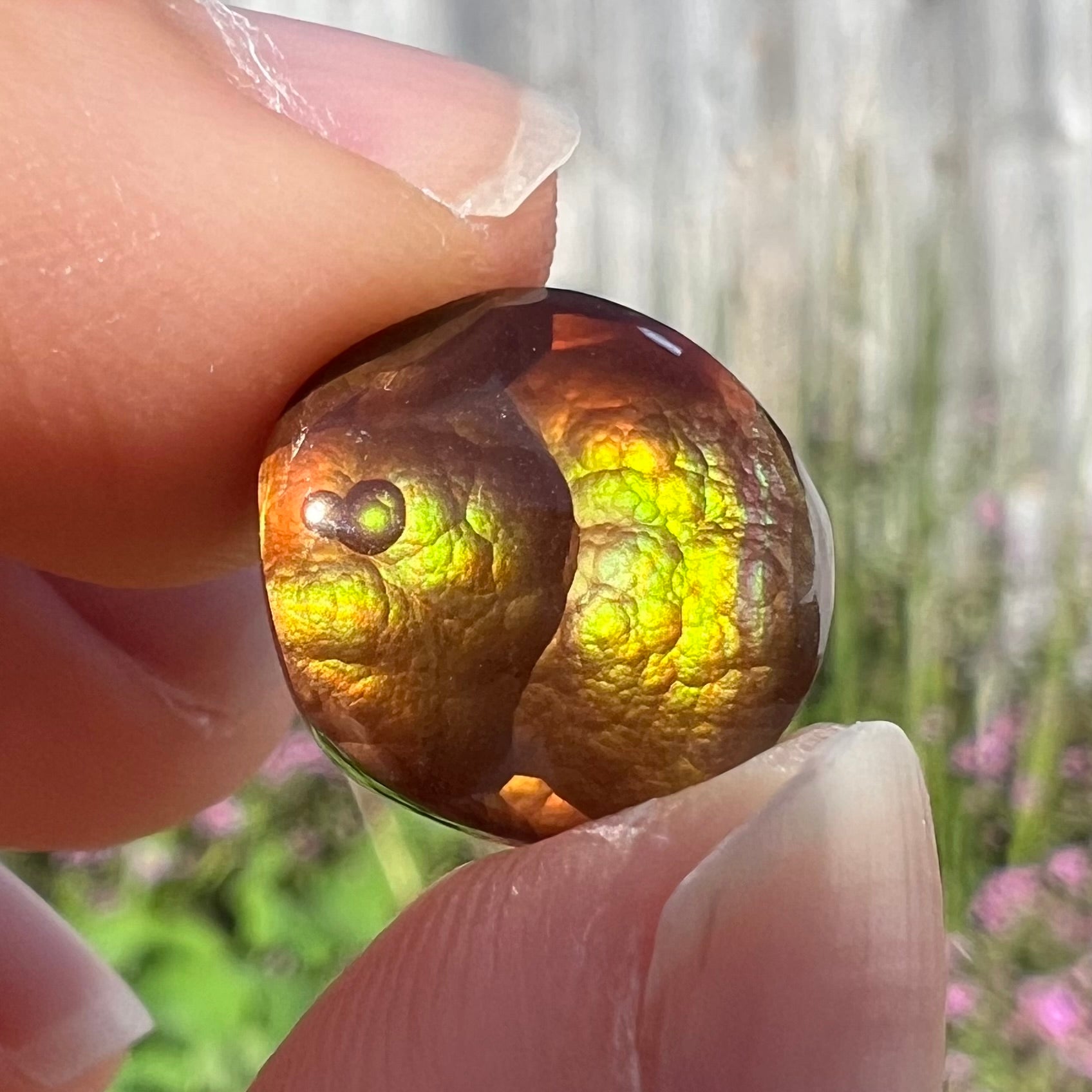 A loose, round Mexican fire agate stone.  The stone shines colors of green, yellow, and orange.