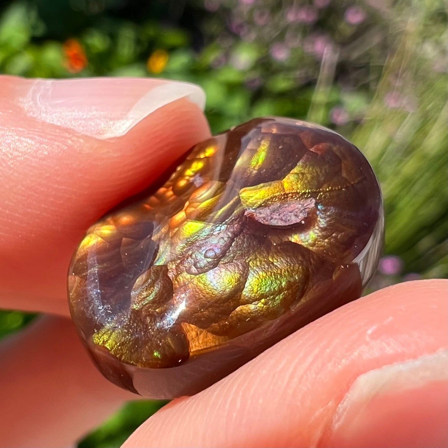 An oval cabochon cut Mexican fire agate stone.  The stone's predominant colors are green, yellow, orange, and blue.