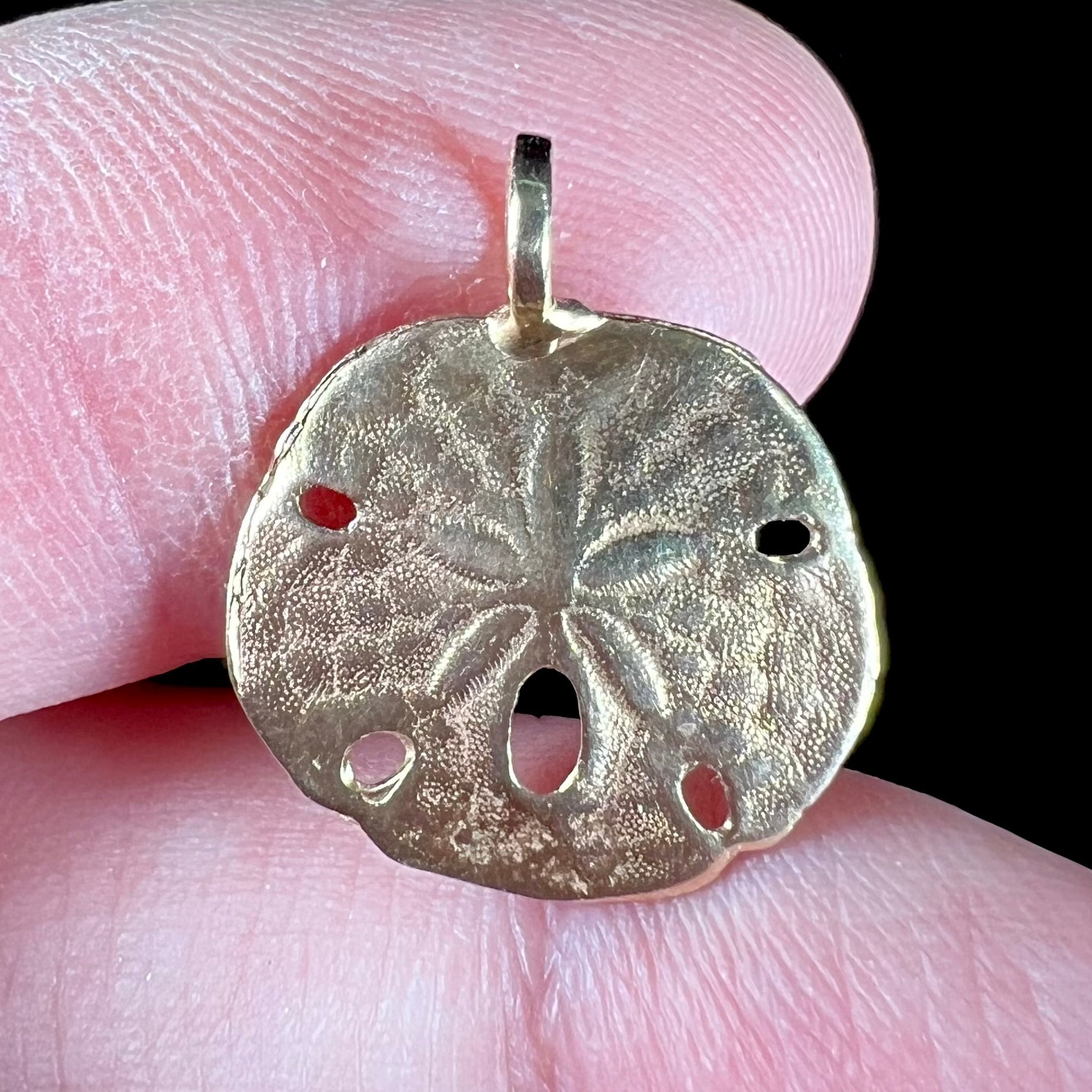 A 14 karat yellow gold sand dollar pendant.