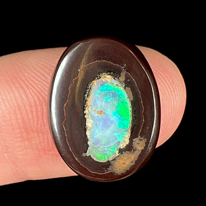 A polished Yowah nut opal stone.  The opal shines blue and green colors.