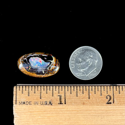 A polished Yowah nut boulder opal from Yowah, Australia.  The piece is ironstone with a center of precious opal.