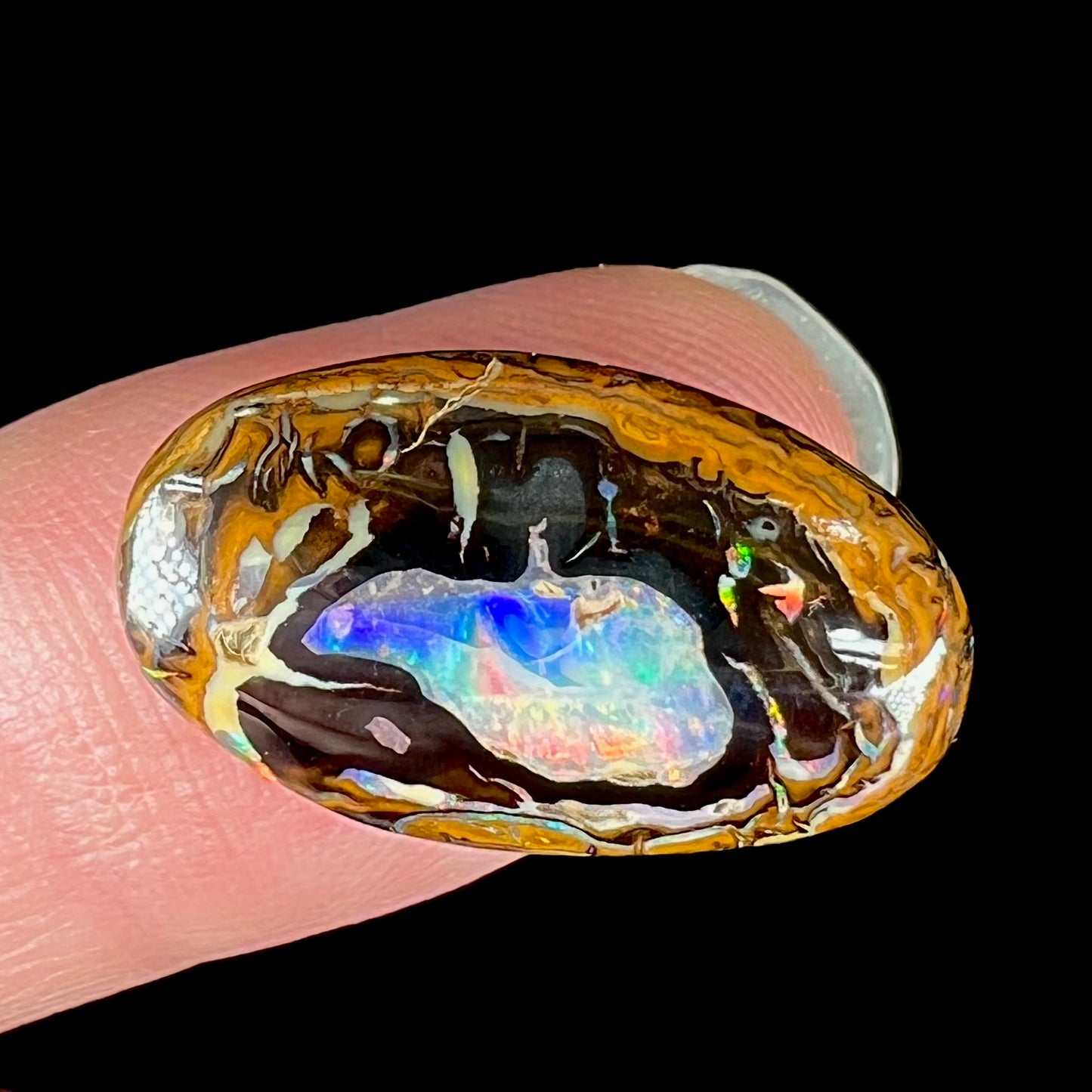 A polished Yowah nut boulder opal from Yowah, Australia.  The piece is ironstone with a center of precious opal.