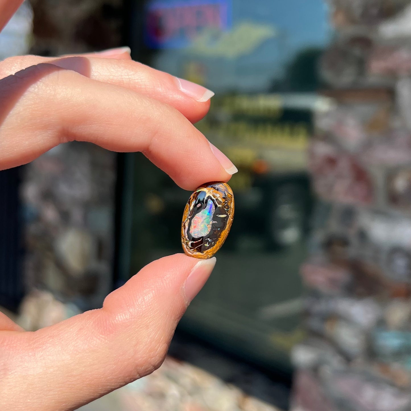 A polished Yowah nut boulder opal from Yowah, Australia.  The piece is ironstone with a center of precious opal.