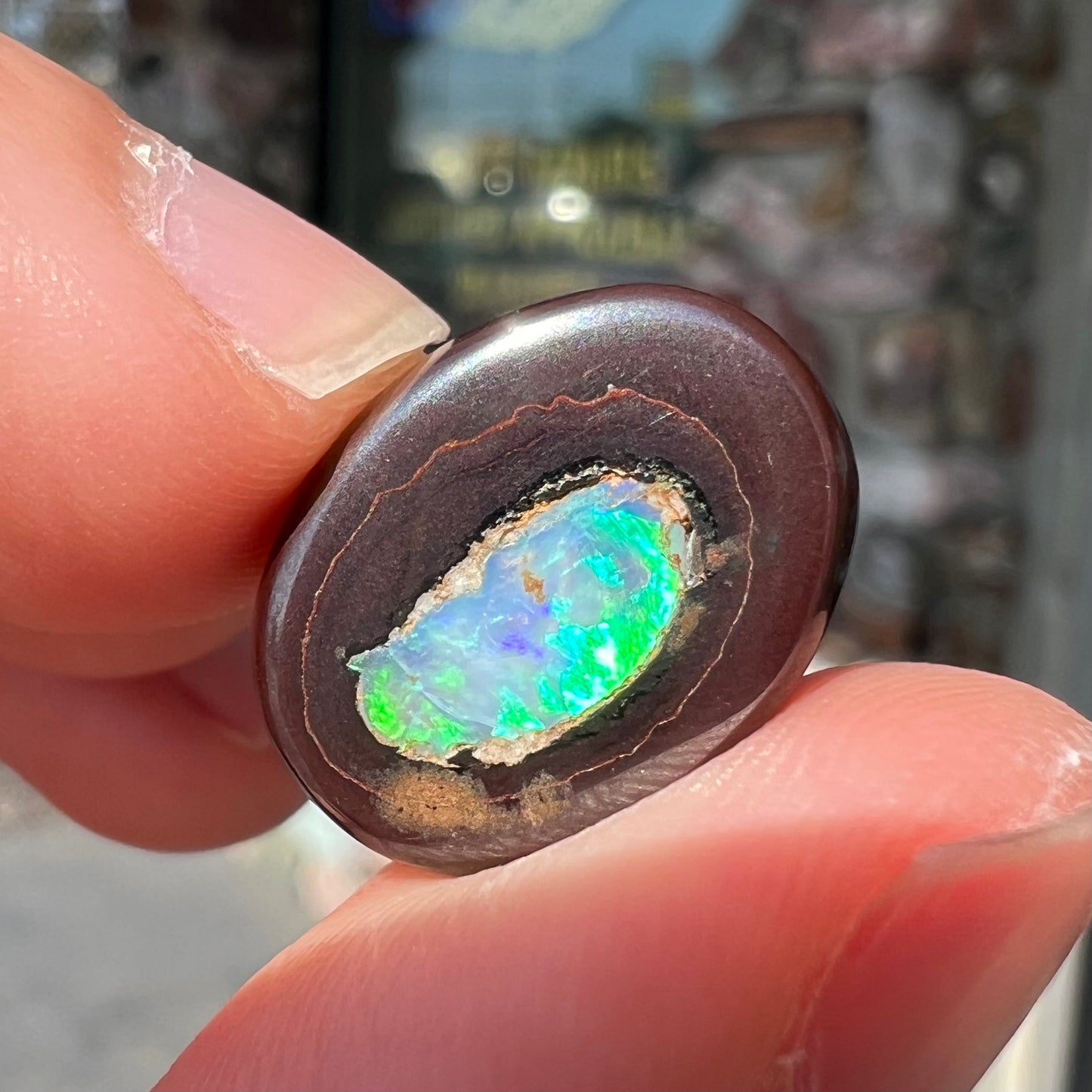 A polished Yowah nut opal stone.  The opal shines blue and green colors.