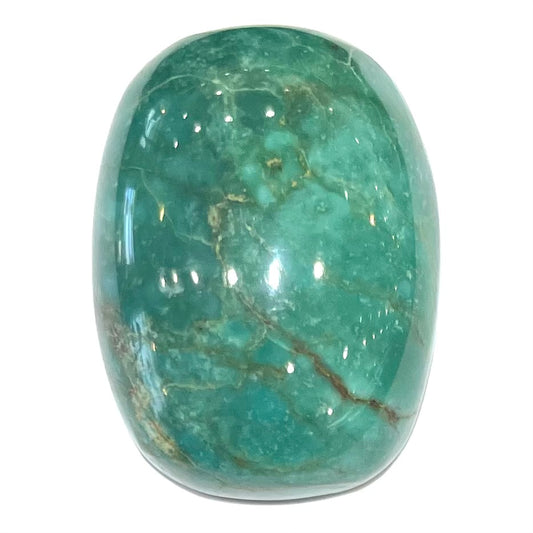 Turquoise #254 | Royston