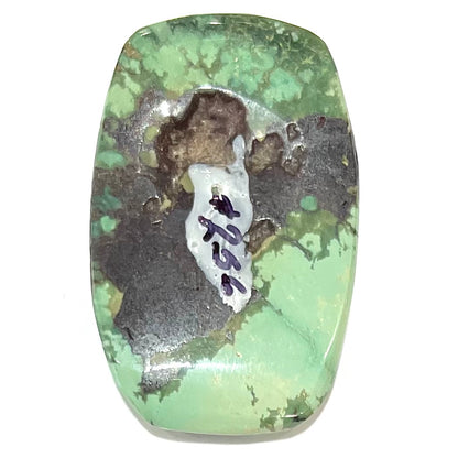 A loose, barrel cabochon cut variscite stone from Utah, USA.