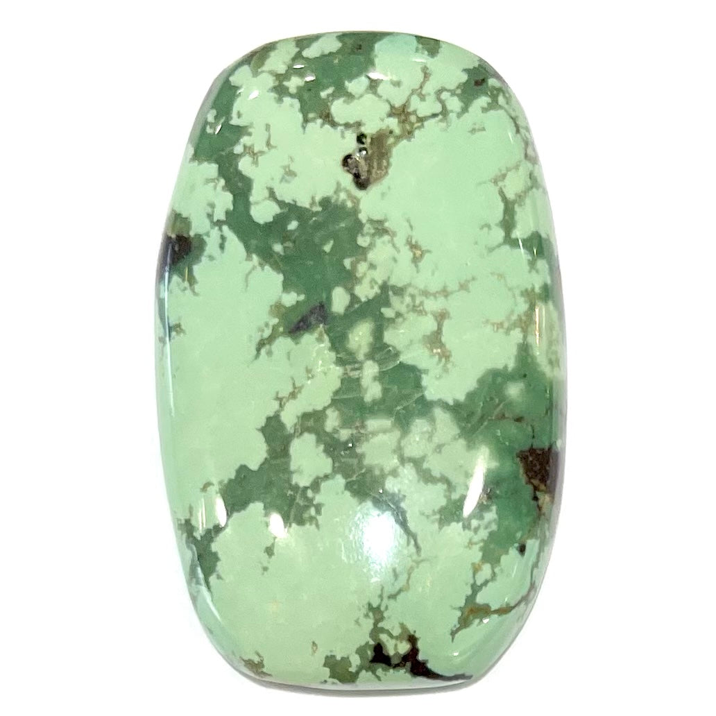 A loose, barrel cabochon cut variscite stone from Utah, USA.