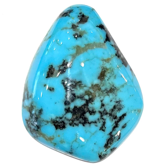 Turquoise #87 | Pinto Valley